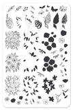 Peacocks Garden (CjS-37) - Steel Nail Art Stamping Plate 14 x 9 Clear Jelly Stamper 
