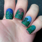 Oh So Succulent! (CjS-123) Steel Layered Nail Art Stamping Plate