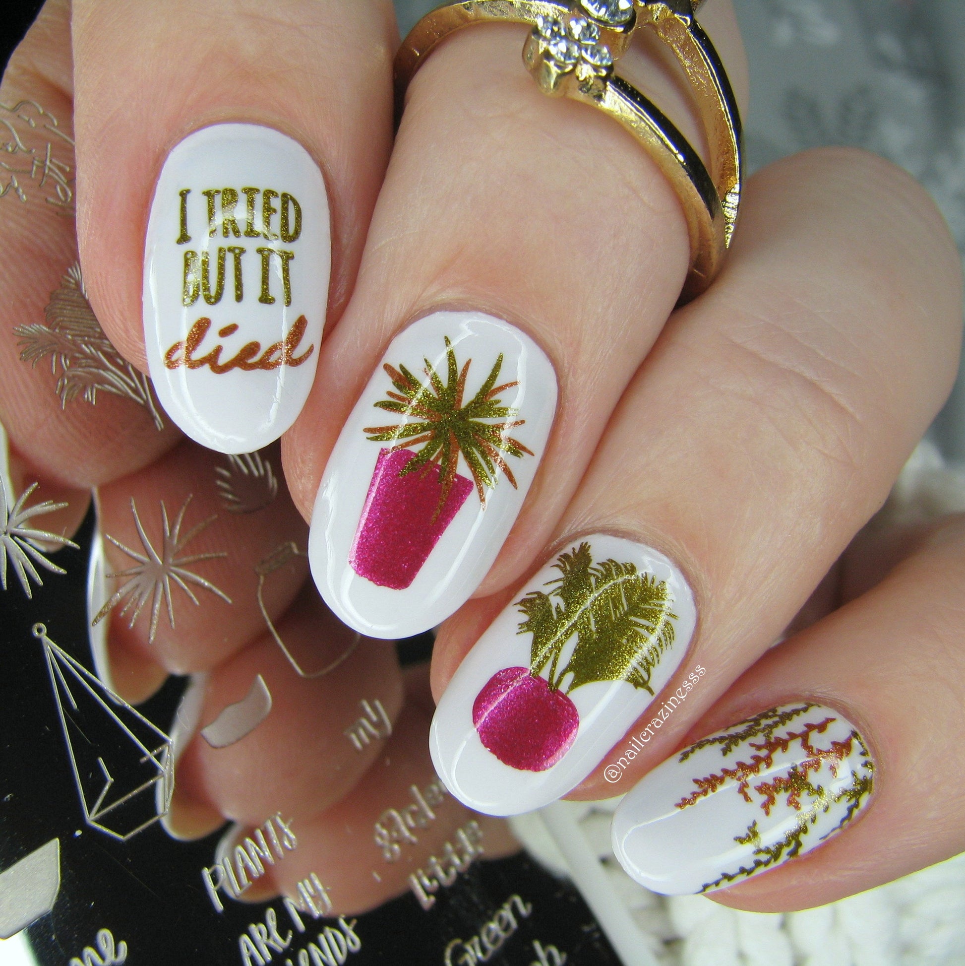 succulent nail art Oh So Succulent! (CjS-123) Etched Nail Art Stamping Plate – Clear Jelly Stamper