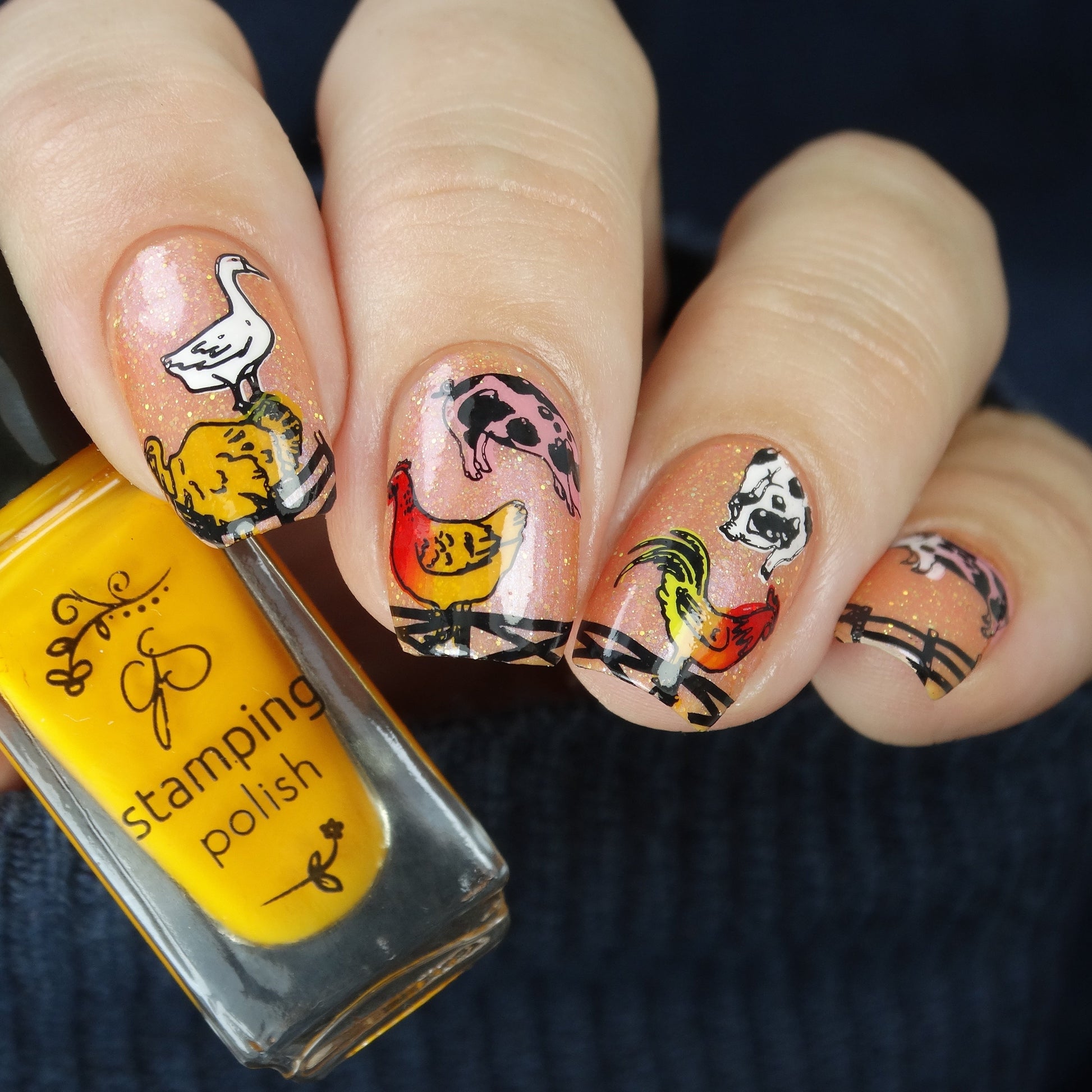 Harvest (CjS-138) Steel Nail Art Stamping Plate 14 x 9 Clear Jelly Stamper 