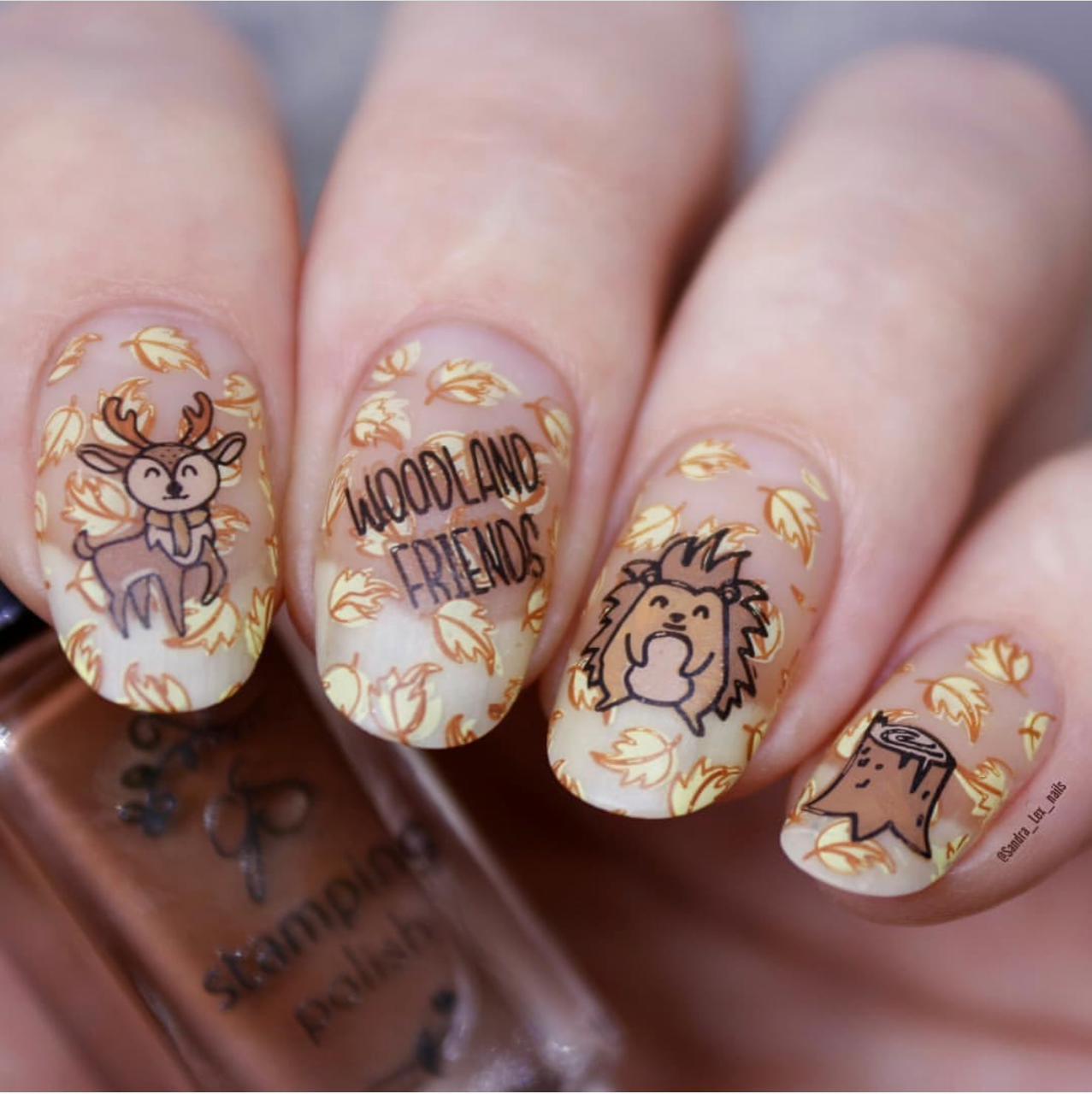 Woodlands Friends (CjS-188) Steel Layered Nail Art Stamping Plate
