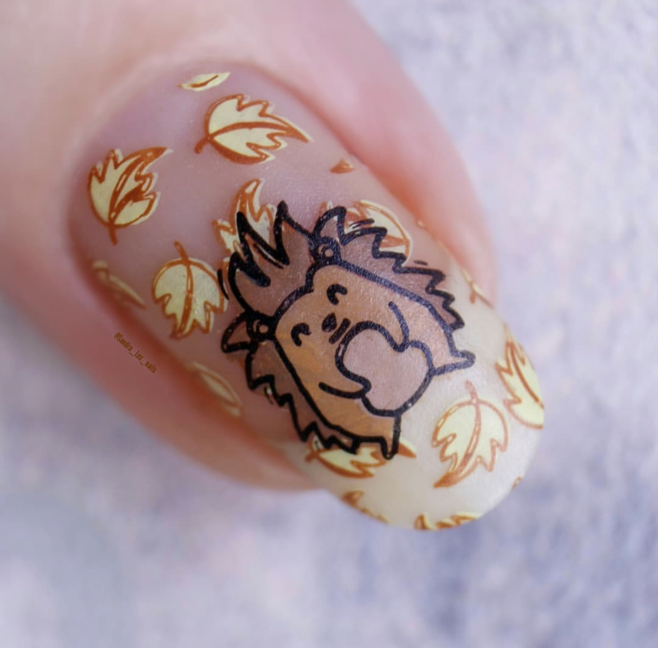 Woodlands Friends (CjS-188) Steel Layered Nail Art Stamping Plate