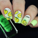 Fruit Cocktail Collection - So Juicy! (CjS-209) Steel Stamping Nail Art Plate