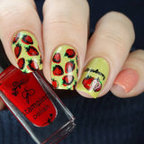 Fruit Cocktail Collection - So Juicy! (CjS-209) Steel Stamping Nail Art Plate