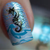 I Melt for Summer (CJS-212) Steel Nail Art Stamping Plate