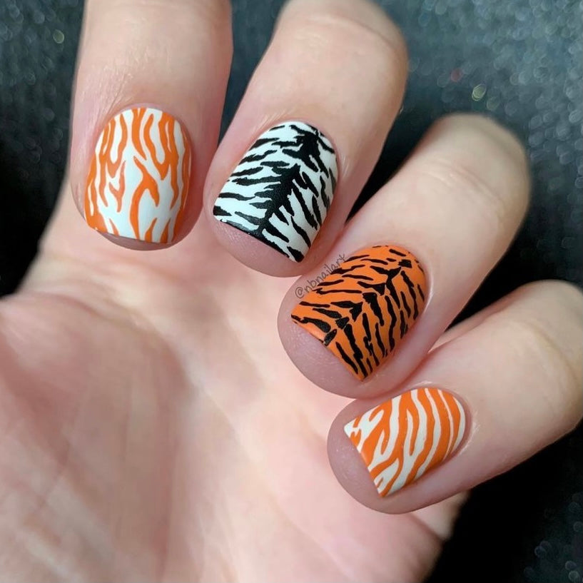 Eye of the Tiger (CjS-214) Steel Nail Art Layered Stamping Plate