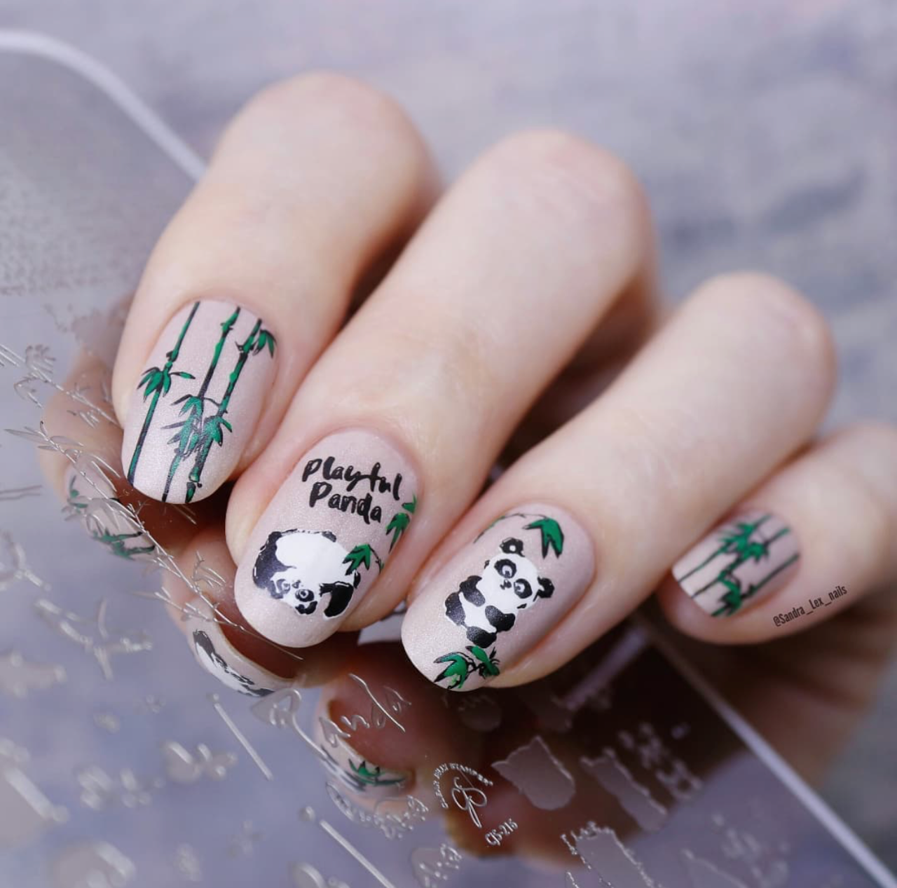 Playful Panda (CjS-216) Steel Nail Art Layered Stamping Plate