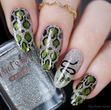 Snake (CjS-217) Steel Nail Art Stamping Plate