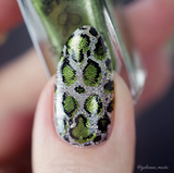 Snake (CjS-217) Steel Nail Art Stamping Plate