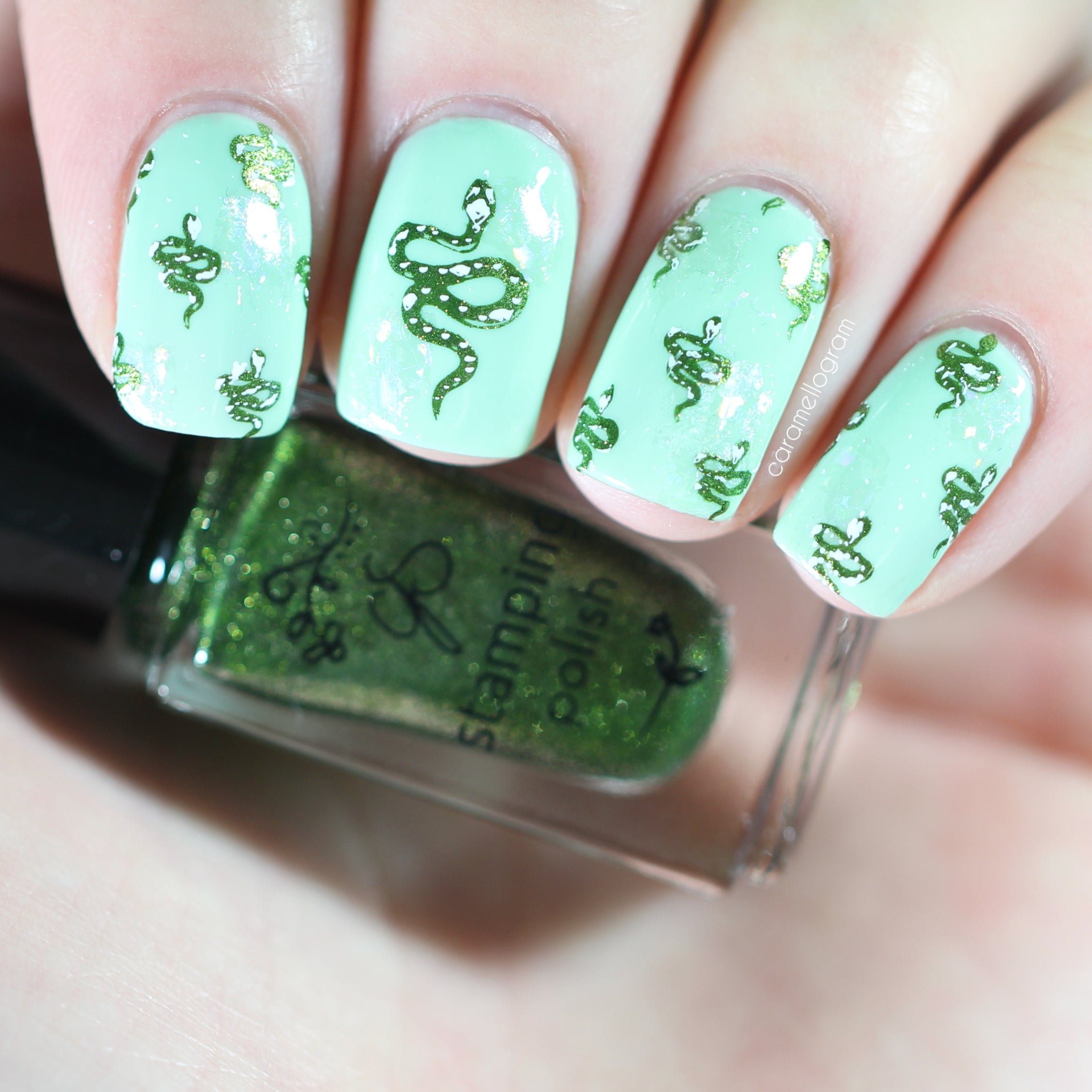 Snake (CjS-217) Steel Nail Art Layered Stamping Plate