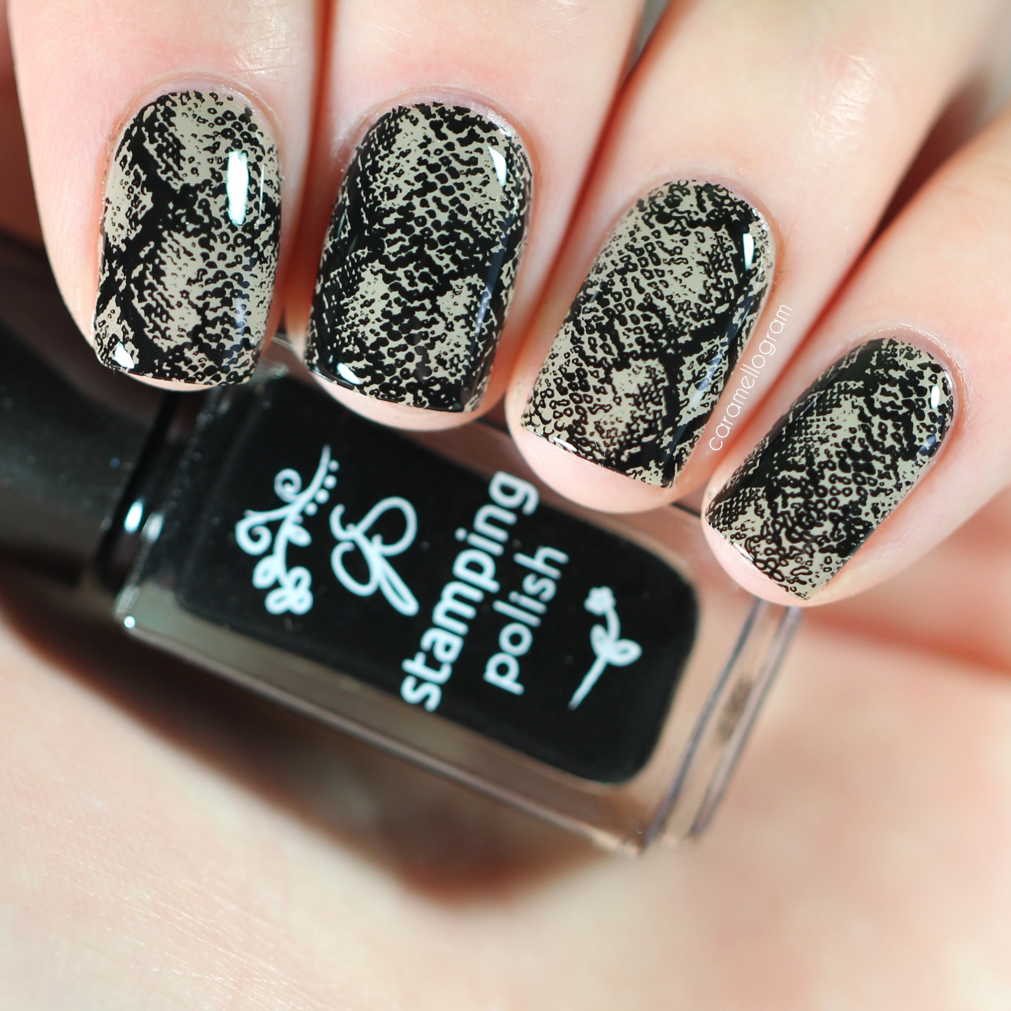 Snake (CjS-217) Steel Nail Art Layered Stamping Plate