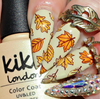 Patterned Pumpkins (CjS-220) Steel Nail Art Stamping Plate