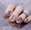 Shibori (CjS-221) Steel Nail Art Stamping Plate