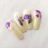 Field of Flowers (CjS-237) Steel Nail Art Stamping Plate