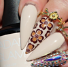 Funky Floral (CjS-241) Steel Nail Art Stamping Plate