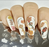 Geo-mazing (CjS-253) Steel Nail Art Stamping Plate