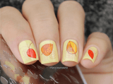 Lengthen Night and Shorten Day (CjS-271) Steel Nail Art Stamping Plate