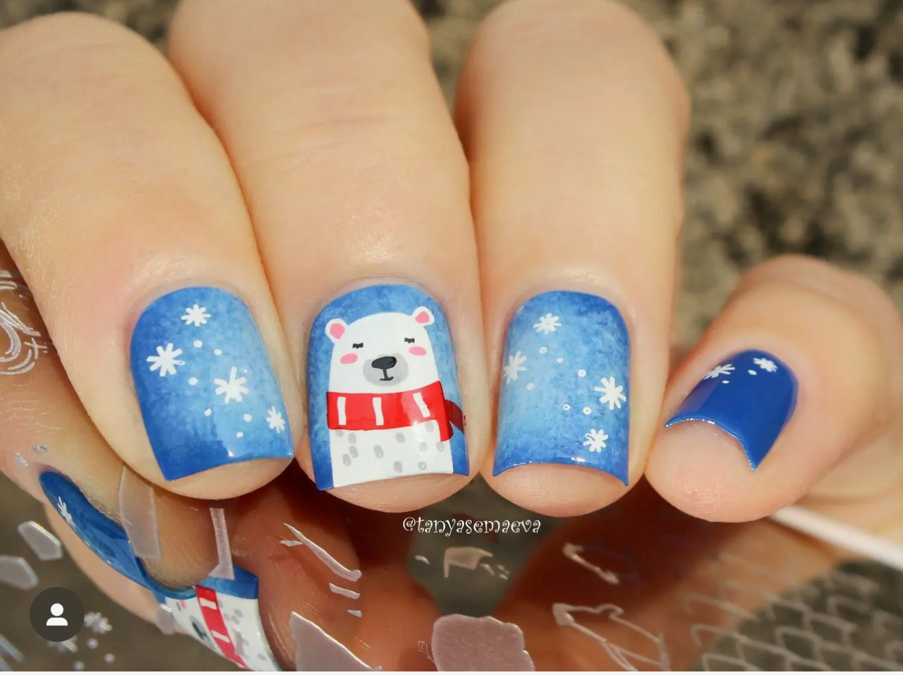 Arctic Holiday (CjSC-39) Steel Nail Art Stamping Plate
