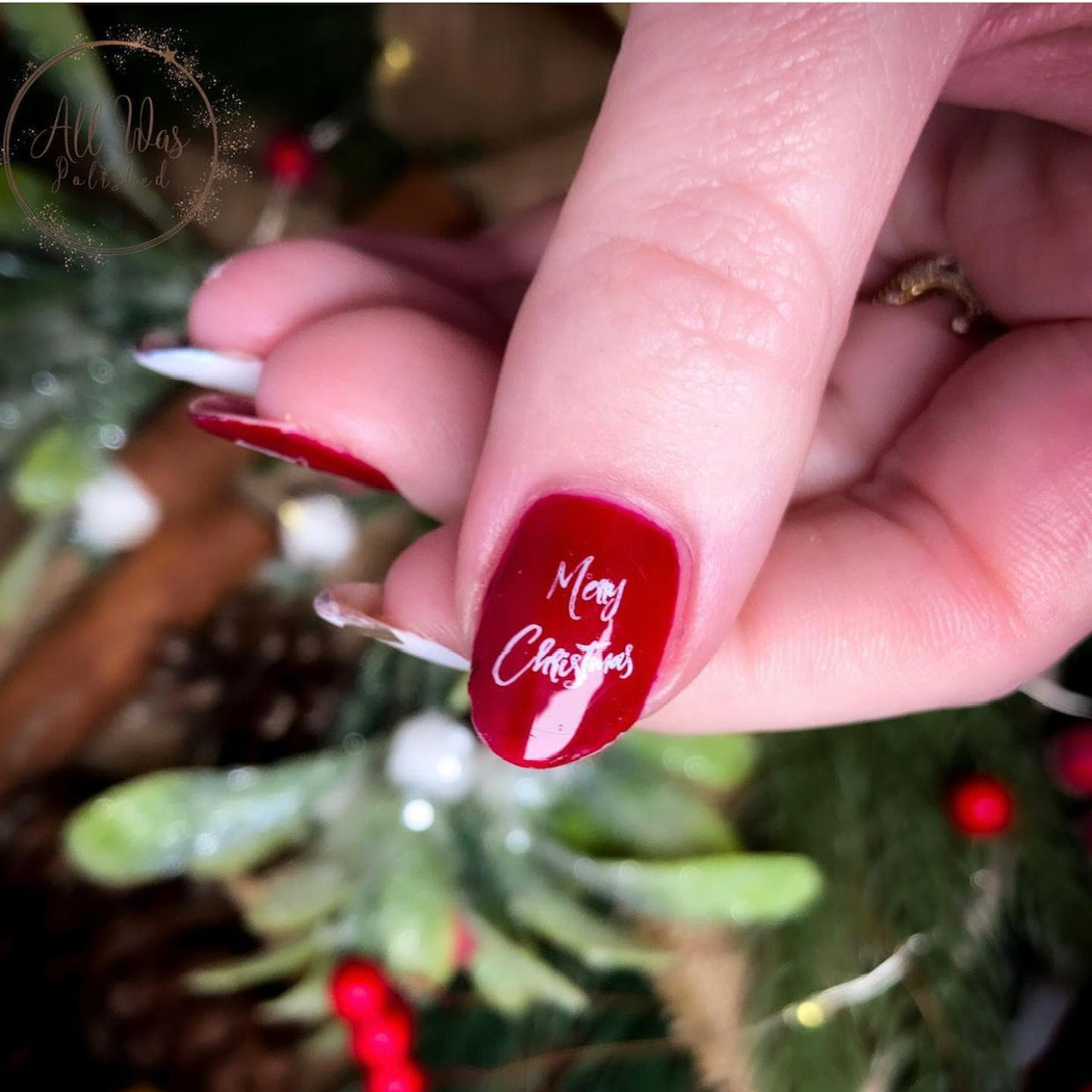 Christmas in the Park (CjS C-49) Steel Nail Art Stamping Plate 14 x 9 Clear Jelly Stamper 