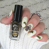 The Mummy (CjSH-70) Steel Nail Art Stamping Plate