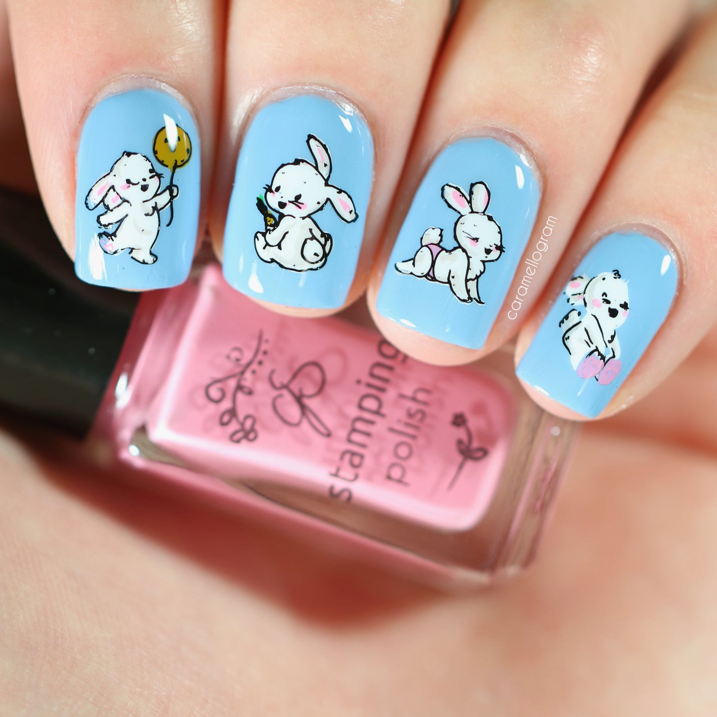 Fuzzy Easter (CjSH-76) Steel Nail Art Stamping Plate