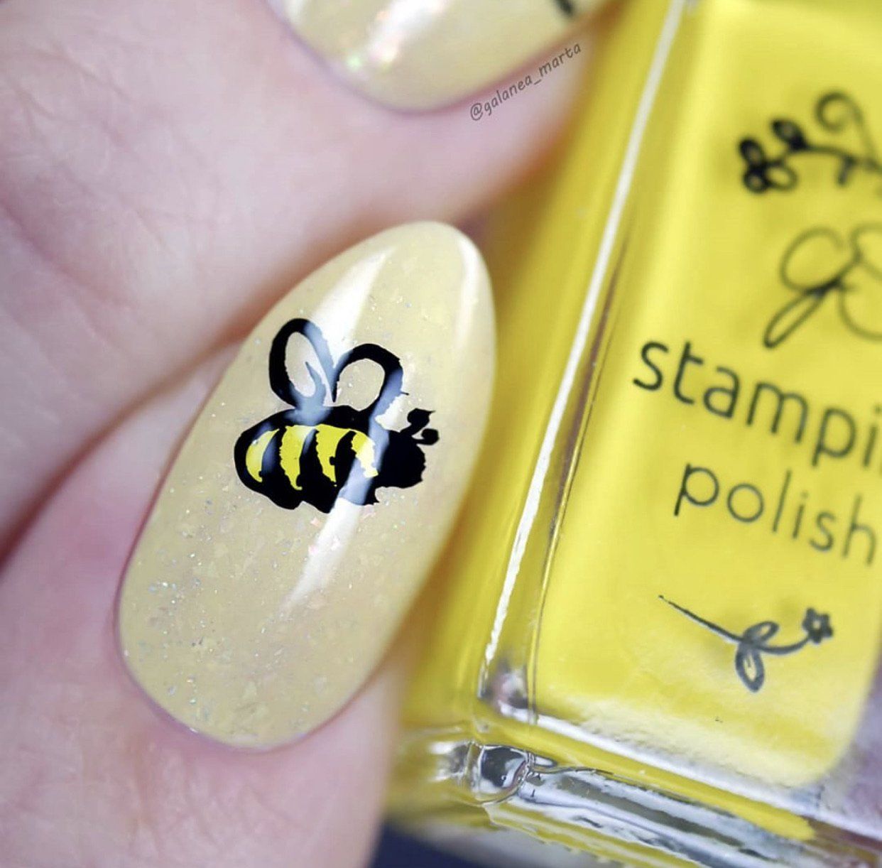 Baby Bugs and Bees (CjS-10) - Steel Nail Art Stamping Plate 6x6 Clear Jelly Stamper 