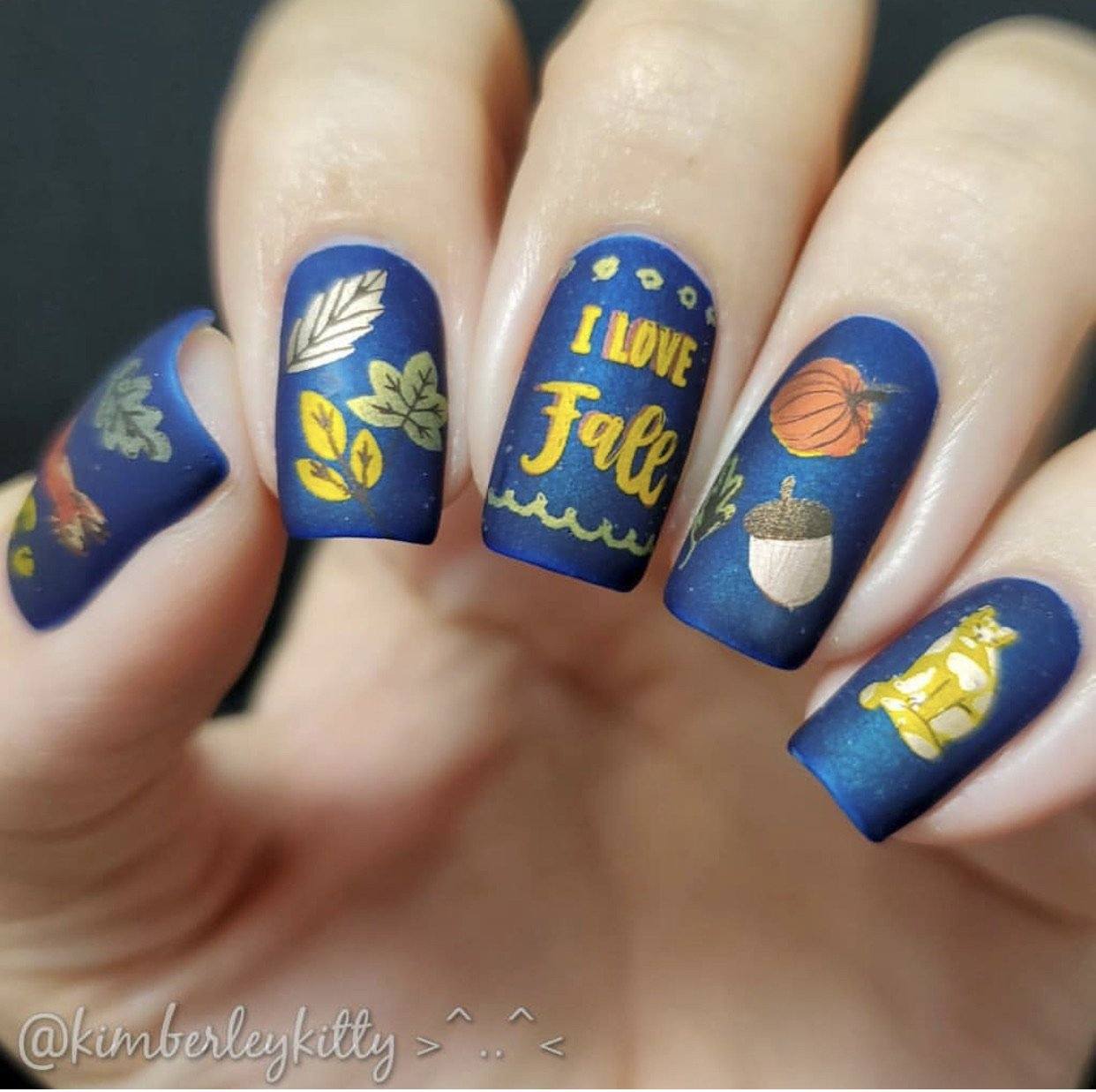 Autumn Acorns (CjS-148) Steel Stamping Plate 14 x 9 Clear Jelly Stamper 