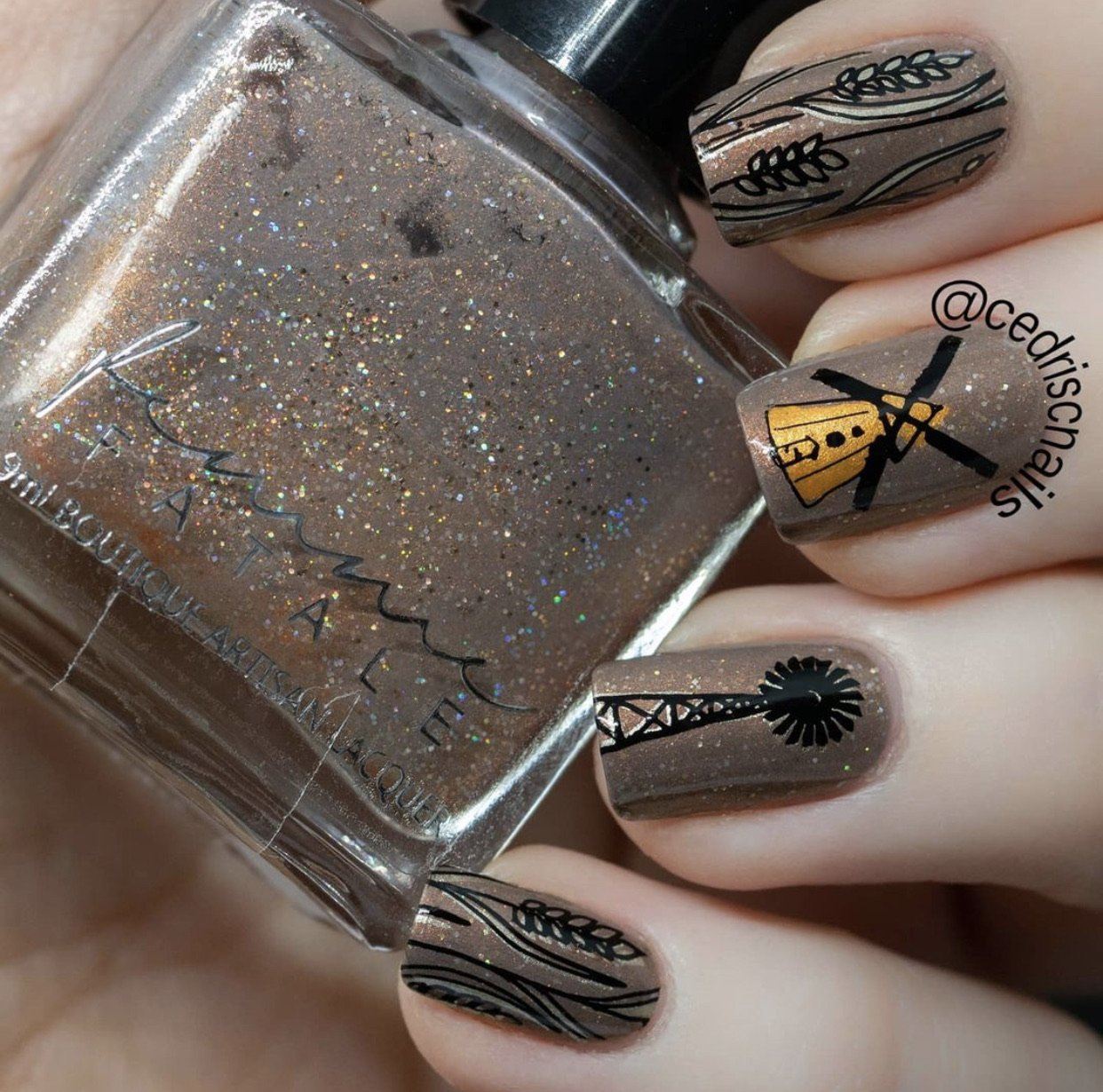 Harvest (CjS-138) Steel Nail Art Stamping Plate 14 x 9 Clear Jelly Stamper 