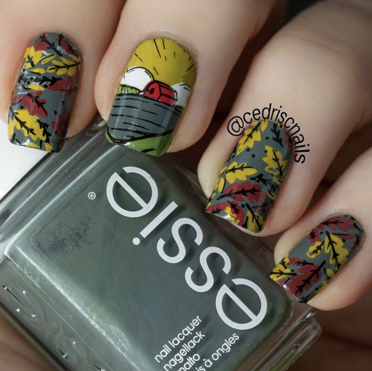 Harvest (CjS-138) Steel Nail Art Stamping Plate 14 x 9 Clear Jelly Stamper 