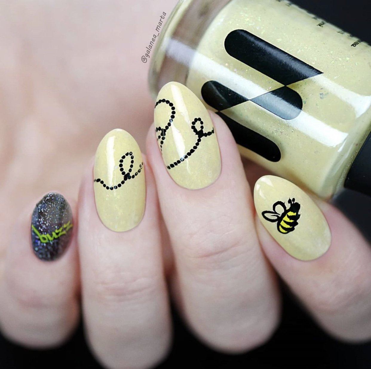 Baby Bugs and Bees (CjS-10) - Steel Nail Art Stamping Plate 6x6 Clear Jelly Stamper 