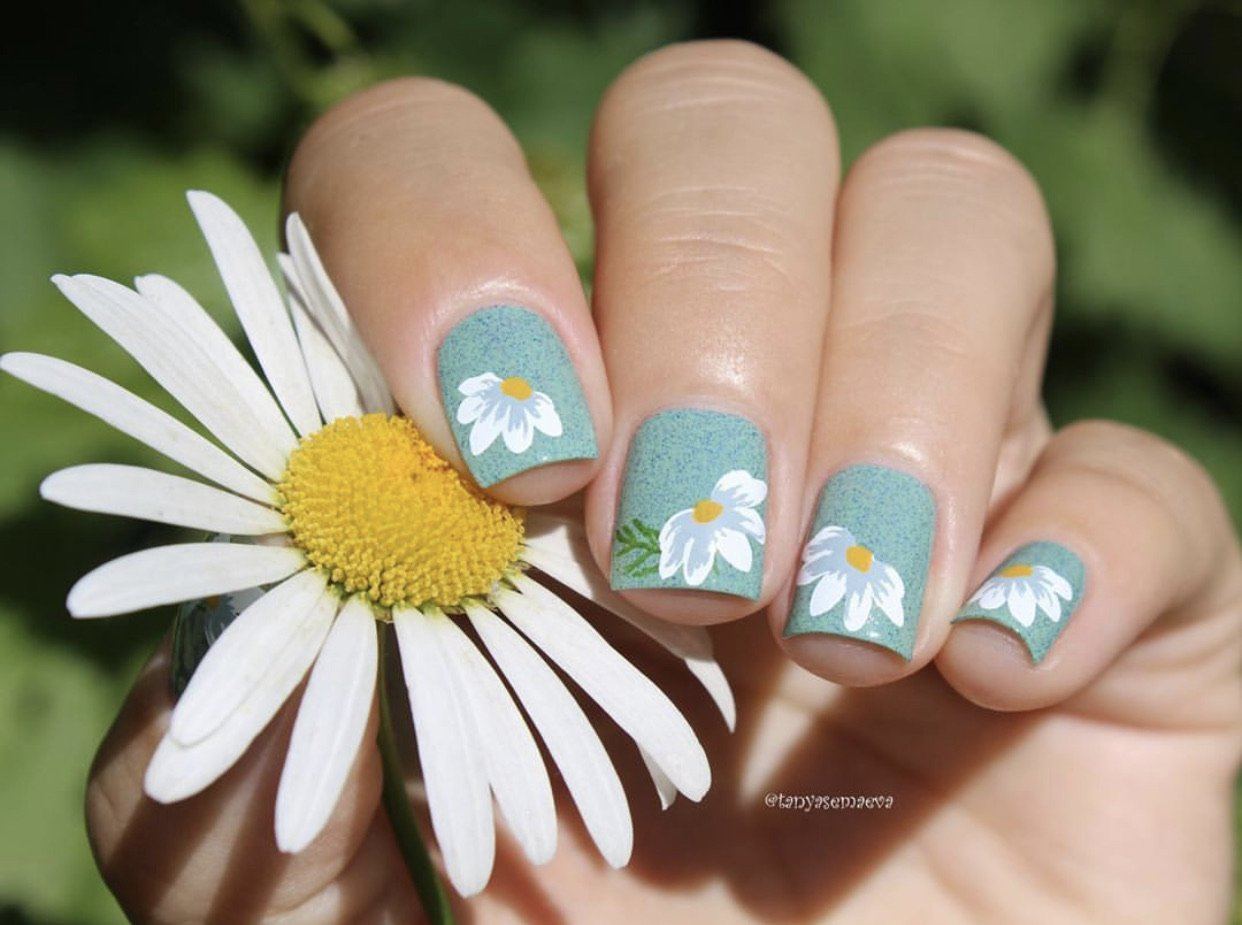 I Dream of Daisies (CjS-104) Steel Nail Art Stamping Plate 14 x 9 Clear Jelly Stamper 