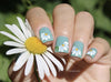 I Dream of Daisies (CjS-104) Steel Nail Art Stamping Plate 14 x 9 Clear Jelly Stamper 