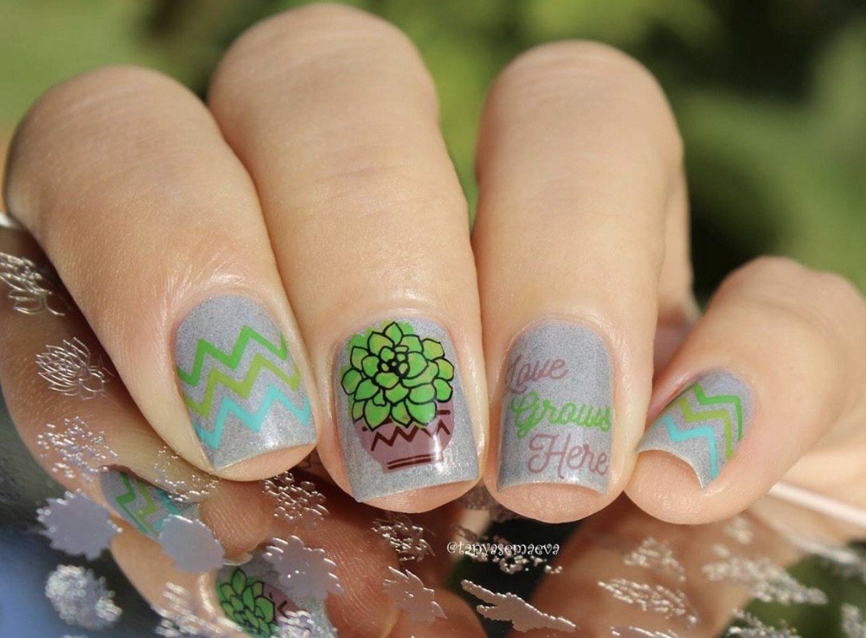 succulent nail design Oh So Succulent! (CjS-123) Etched Nail Art Stamping Plate