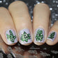 Oh So Succulent! (CjS-123) Steel Nail Art Stamping Plate 14 x 9 Clear Jelly Stamper 