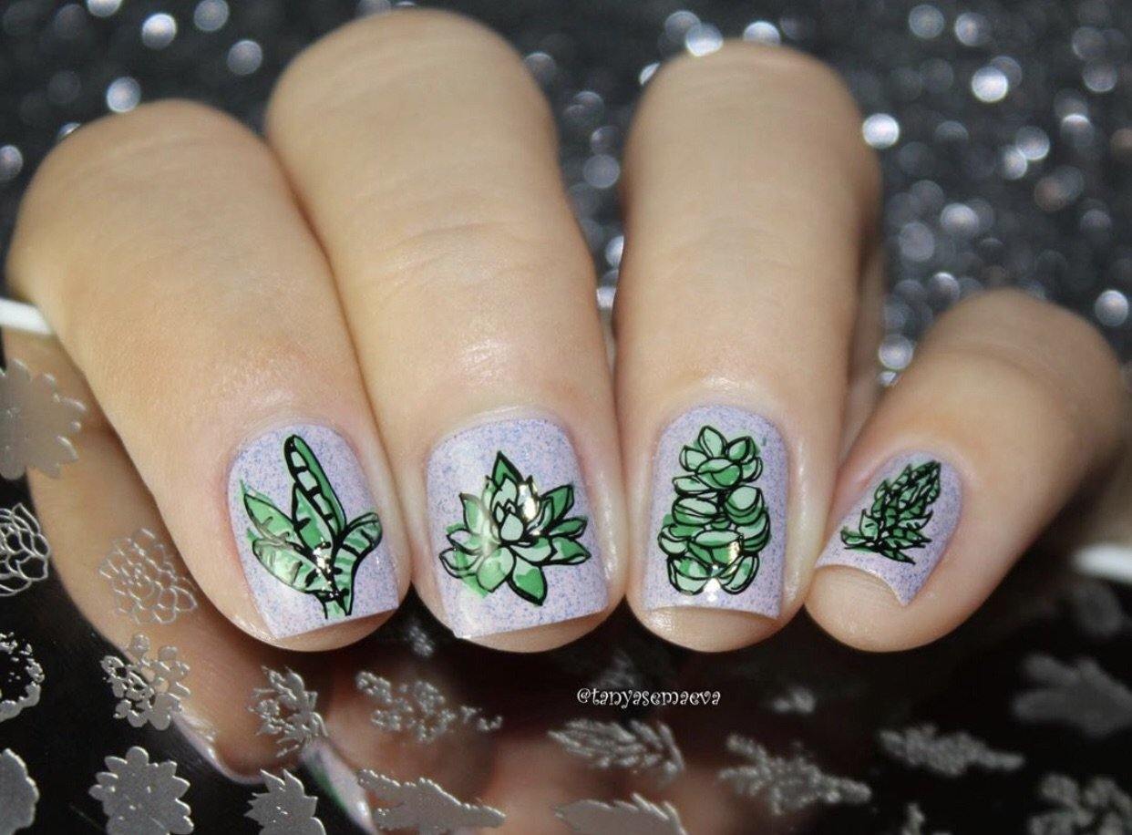 succulent nails Oh So Succulent! (CjS-123) Etched Nail Art Stamping Plate – Clear Jelly Stamper