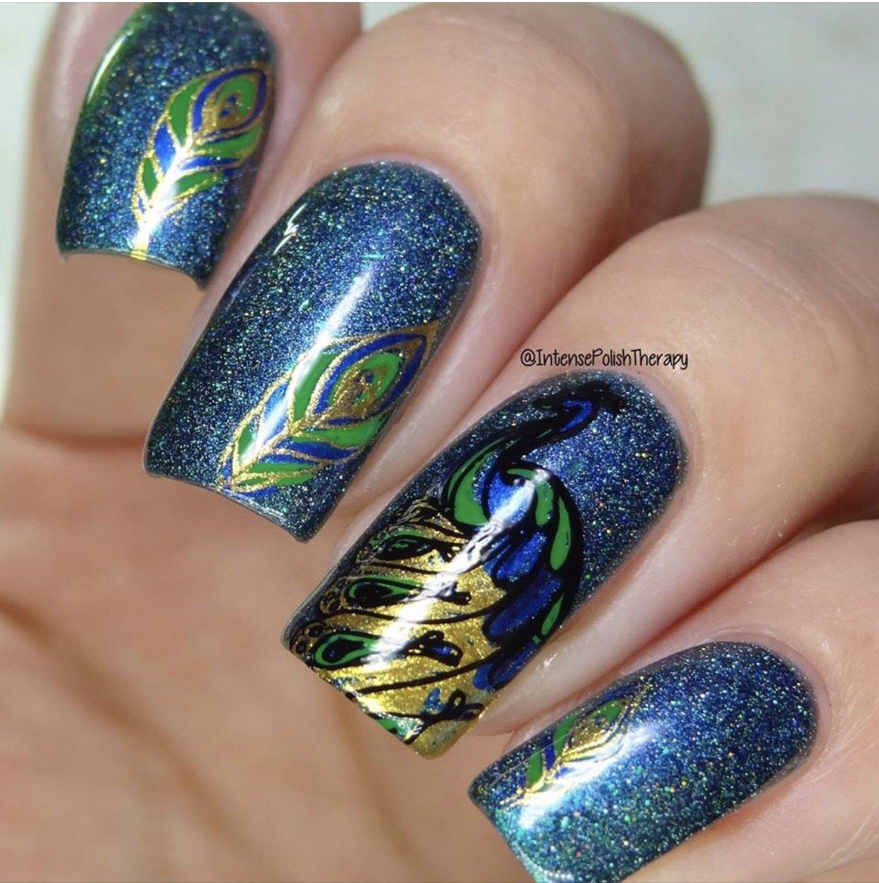 Peacocks Garden (CjS-37) - Steel Nail Art Stamping Plate 14 x 9 Clear Jelly Stamper 