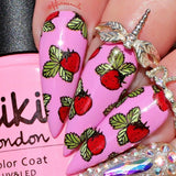 Fruit Cocktail Collection - Tropical Sensation (CjS-211) Steel Nail Art Layered Stamping Plate