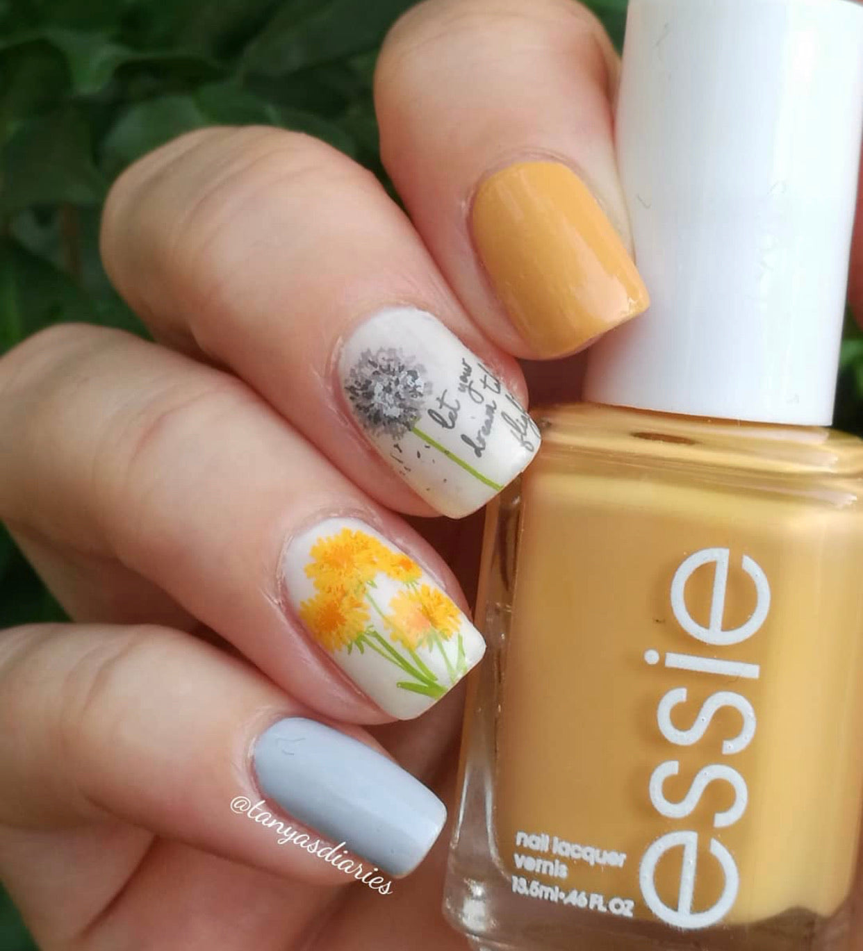 Just Breathe (CjS-156) Steel Stamping Plate 8 x 8 Clear Jelly Stamper 