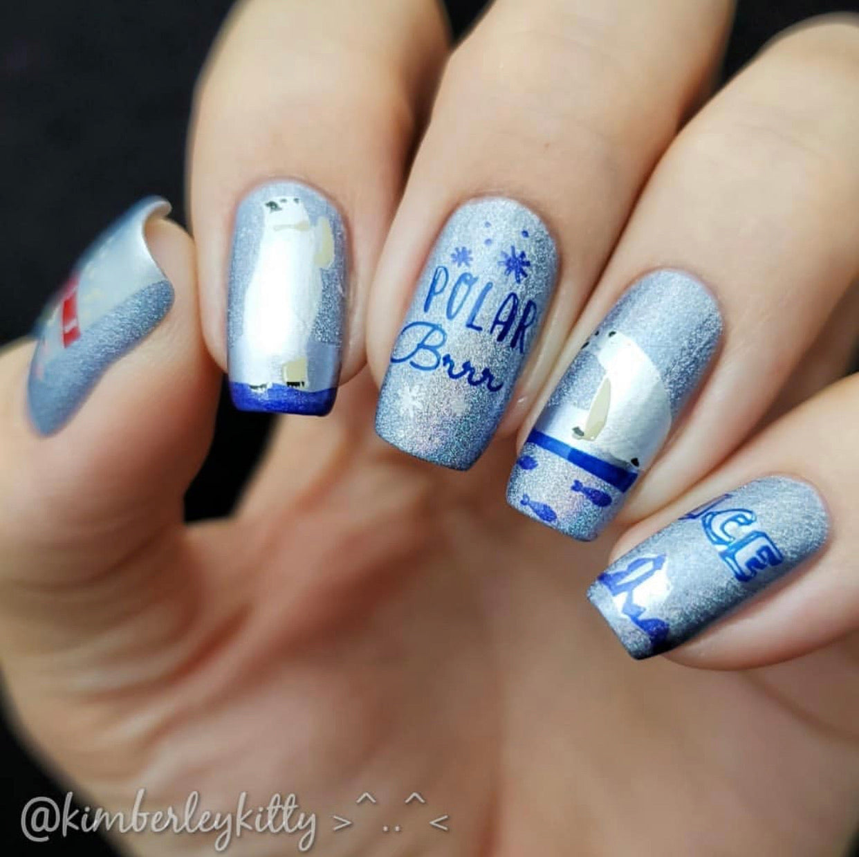 Arctic Holiday (CjS C-39) Steel Nail Art Stamping Plate 14 x 9 Clear Jelly Stamper 