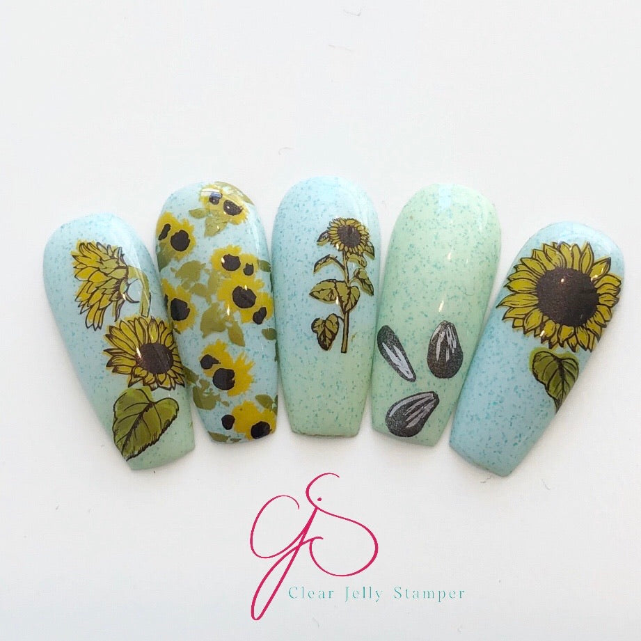 Sunflowers (CjS-163) Steel Stamping Plate 8 x 8 Clear Jelly Stamper 