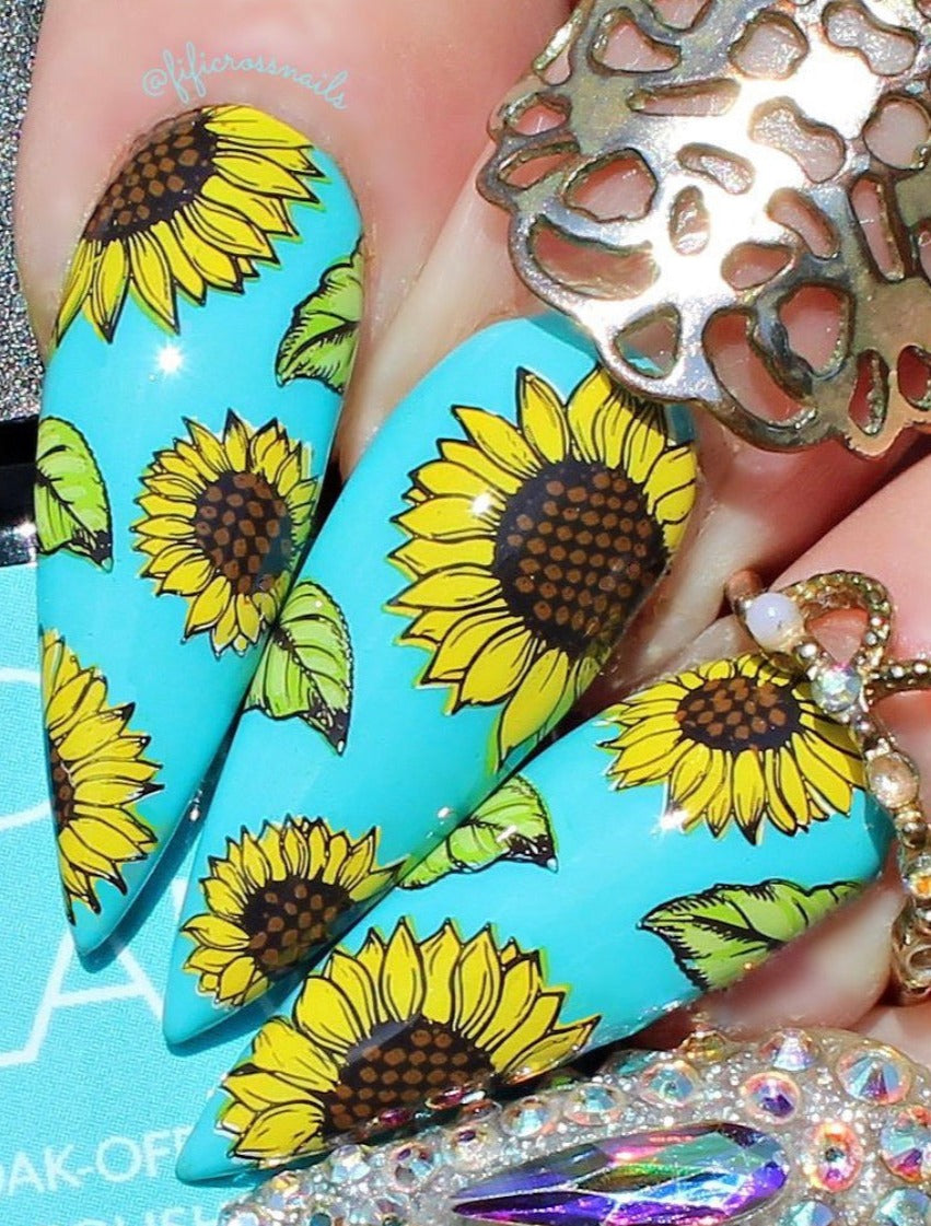 Sunflowers (CjS-163) Steel Stamping Plate 8 x 8 Clear Jelly Stamper 