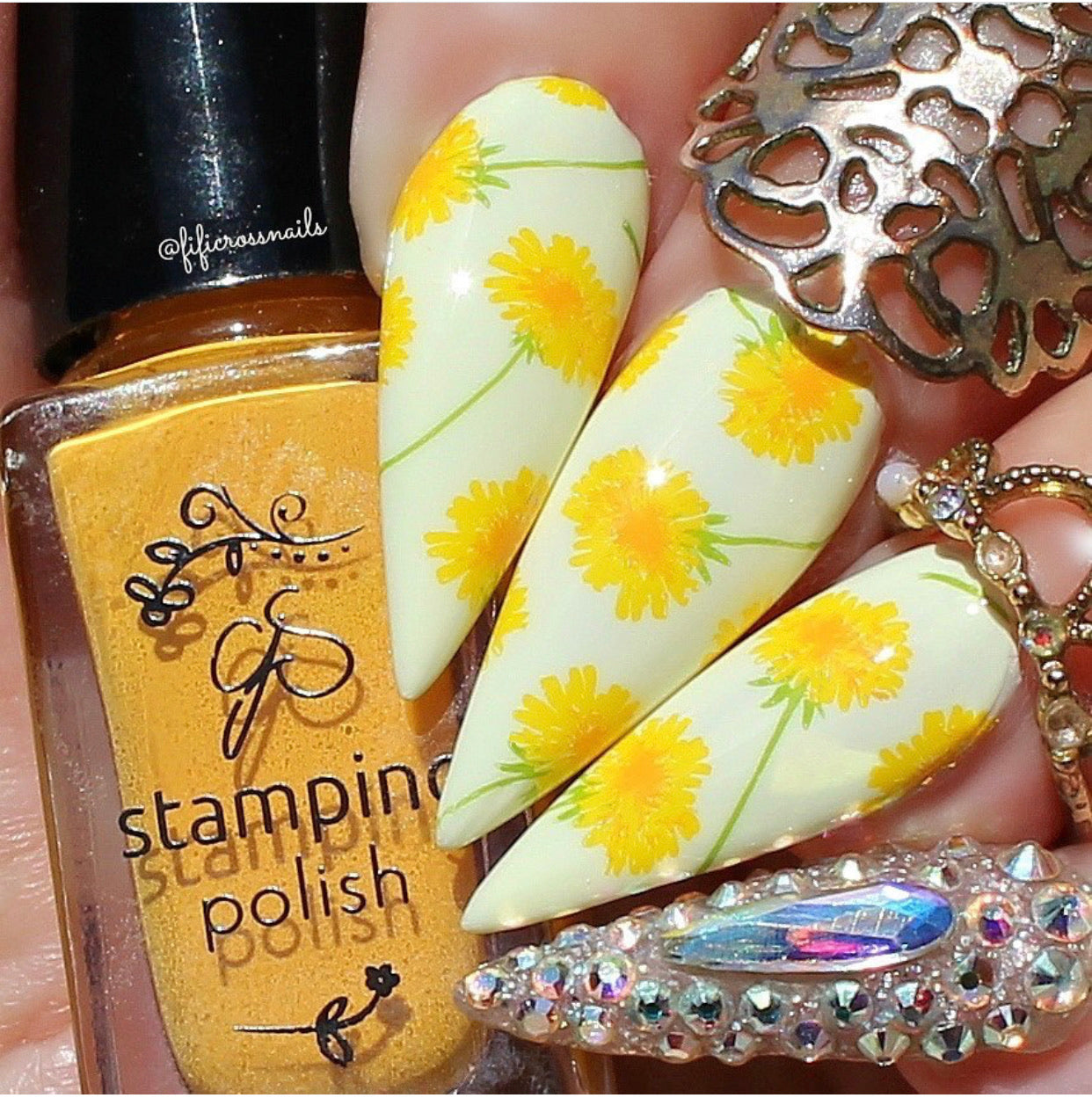 Just Breathe (CjS-156) Steel Stamping Plate 8 x 8 Clear Jelly Stamper 