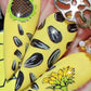 Sunflowers (CjS-163) Steel Stamping Plate 8 x 8 Clear Jelly Stamper 