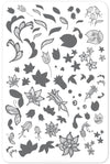 Petals of Lace (CjS-50) - Steel Nail Art Stamping Plate 14 x 9 Clear Jelly Stamper 