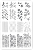 Feeling Lacy - (CjS-51) - Steel Nail Art Stamping Plate 14 x 9 Clear Jelly Stamper 