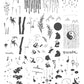 panda-and-friends-cjs-215-clear-jelly-stamper-panda-yin-yang