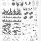 Boujee (CjS-87) Steel Nail Art Stamping Plate 14 x 9 Clear Jelly Stamper 